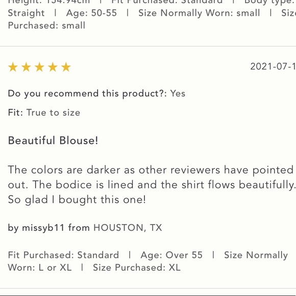 Anthropologie NWT Bl-nk Tessa Blouse Size 2X. - Picture 12 of 13